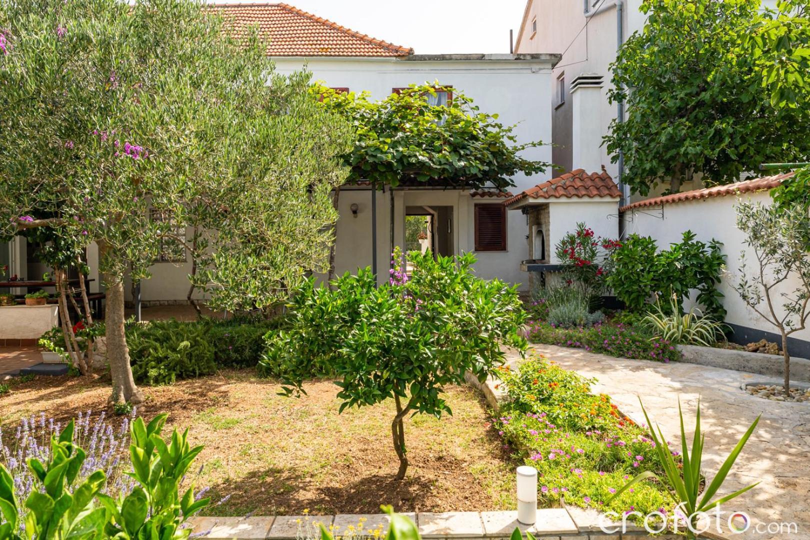 Vinka Apartment Biograd Na Moru Exterior foto